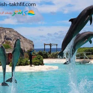 پارک دلفین کیش